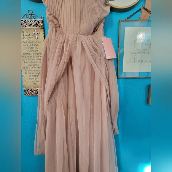 Birdy Grey Christina Taupe Formal Dress - Picture 7 of 16